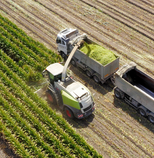 Silage Production
